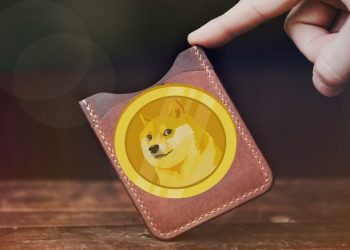 vi-dogecoin-wallet-la-gi