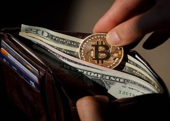 vi-ronin-wallet-la-gi