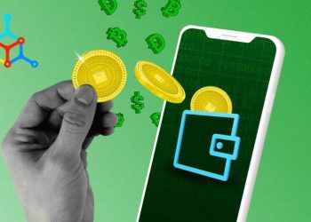 vi-mycelium-wallet-la-gi