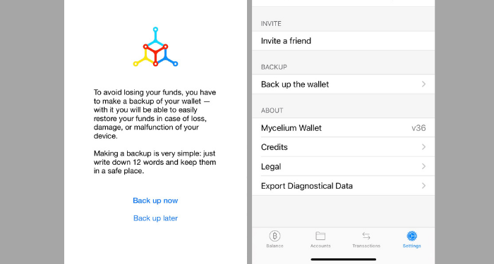 vi-mycelium-wallet-la-gi