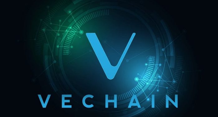 vechain-vet-la-gi