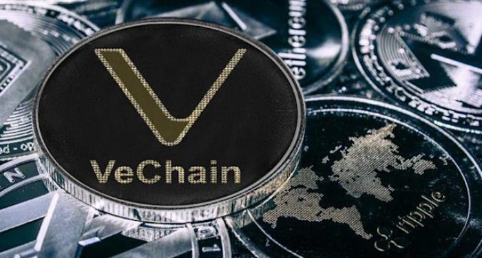 vechain-vet-la-gi