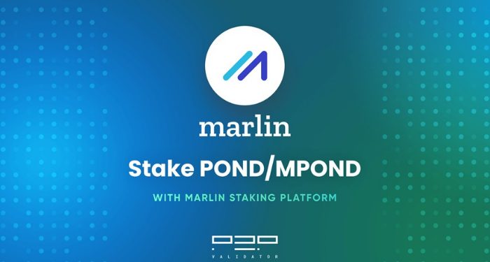 marlin-pond-la-gi