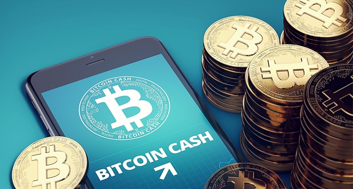 bitcoin-cash-la-gi