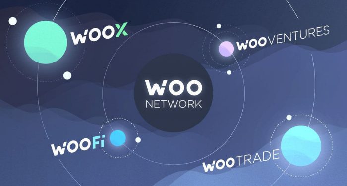 WOO-Network-WOO-la-gi