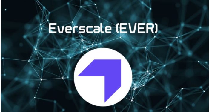 everscale-ever-la-gi