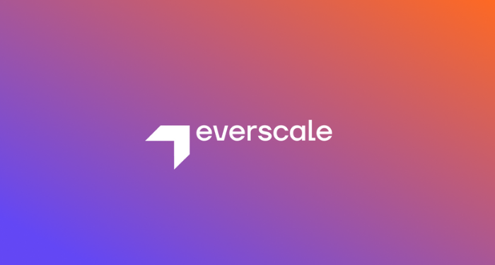 everscale-ever-la-gi