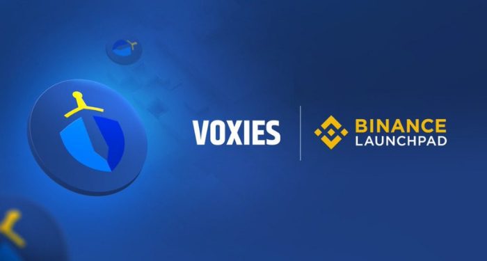 Voxies-VOXEL-la-gi