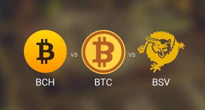 bitcoin-sv-bsv-la-gi