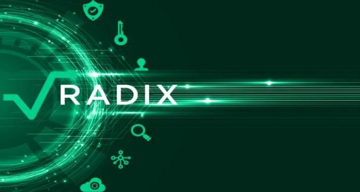 radix-la-gi