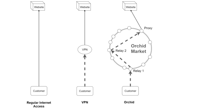 orchid-protocol-la-gi