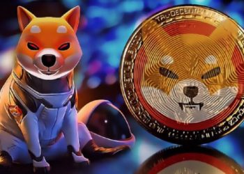 shiba-inu-shib-la-gi