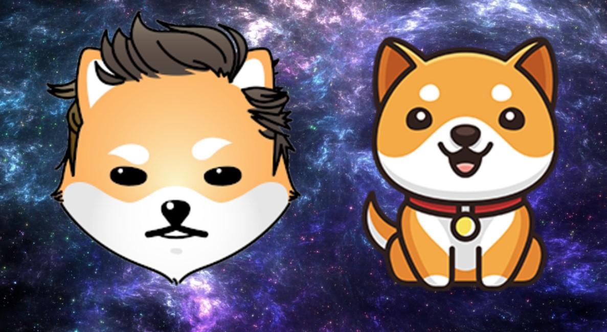 baby-doge-coin-babydoge-la-gi