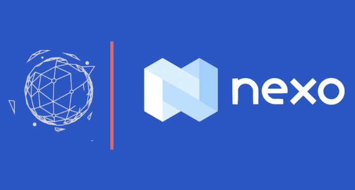 nexo-nexo-la-gi