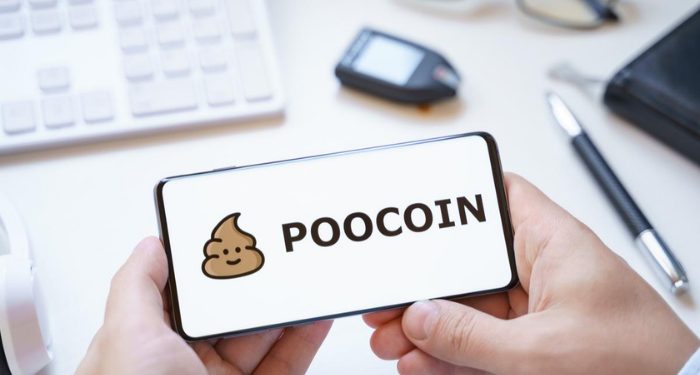 poocoin-poocoin-la-gi