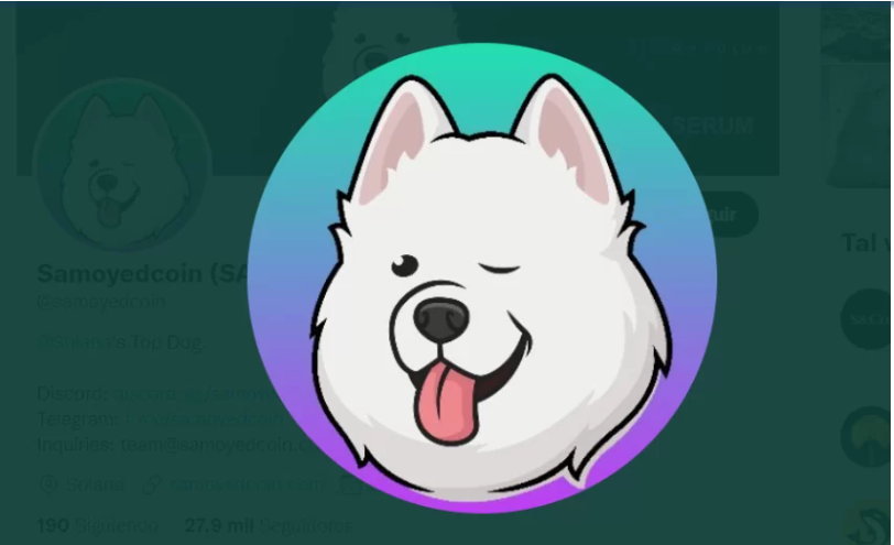 samoyedcoin-samo-la-gi