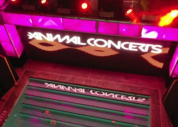 animal-concerts-anml-la-gi