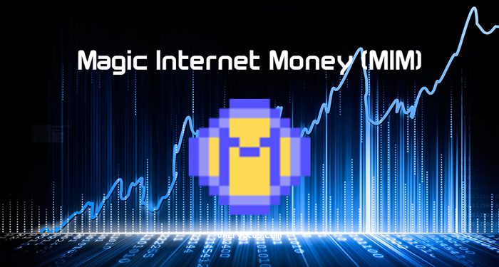 magic-internet-money-la-gi