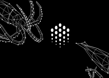 ocean-protocol-la-gi