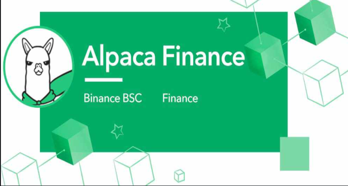 alpaca-finance-la-gi