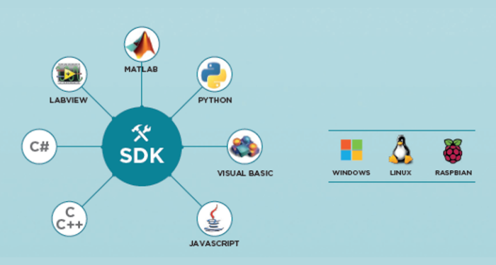 lisk-lsk-la-gi