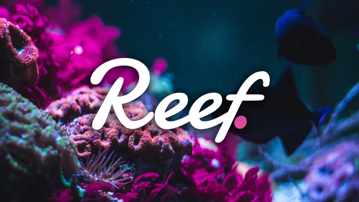 reef-finance-reef-la-gi