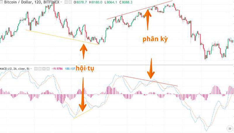 duong-macd-la-gi