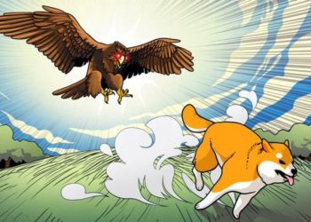 shiba-predator-qom-la-gi