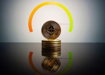 cach-xem-chi-so-tham-lam-va-so-hai-bitcoin