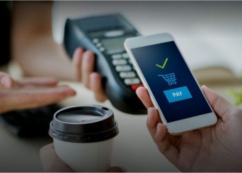 pallapay-palla-la-gi