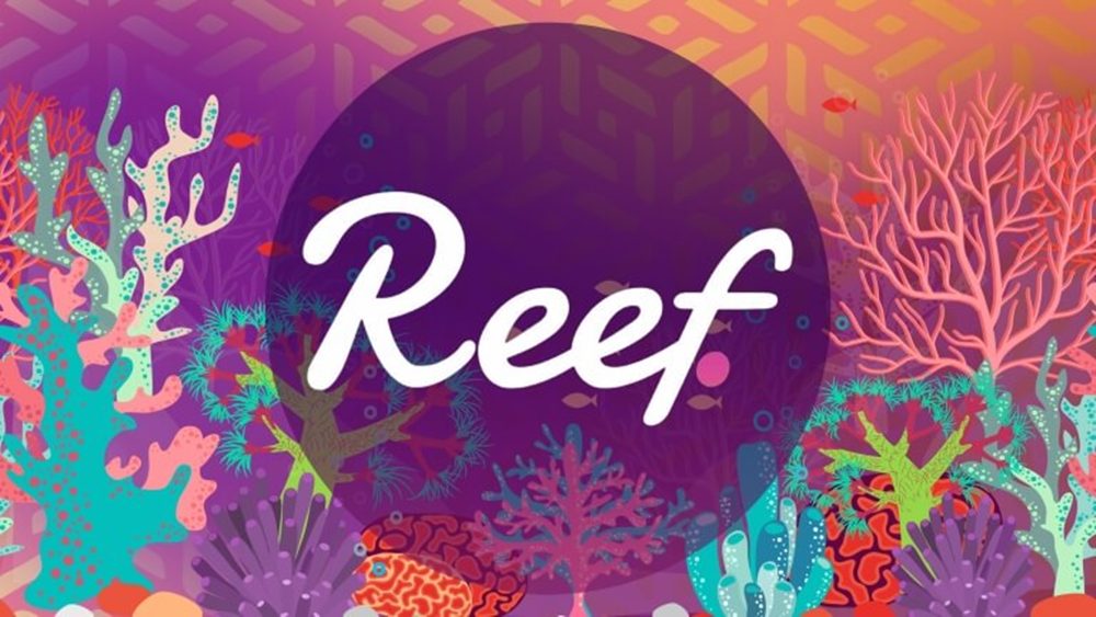 reef-finance-reef-la-gi