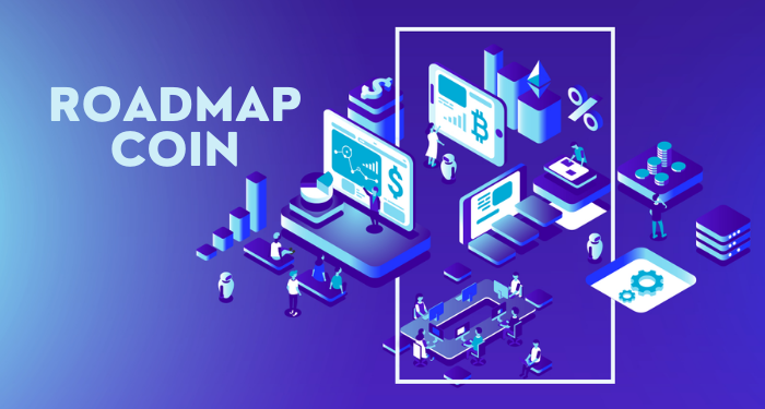 roadmap-coin-la-gi