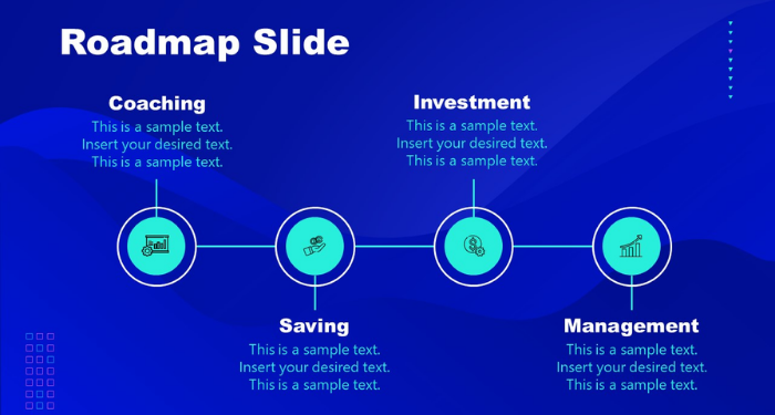 roadmap-coin-la-gi