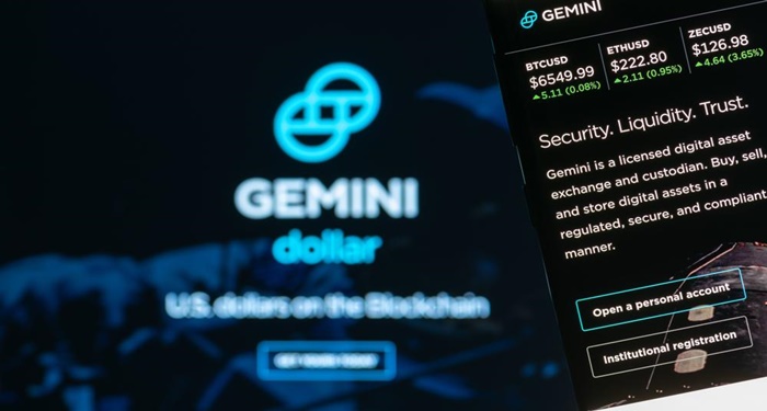 gemini-dollar-la-gi