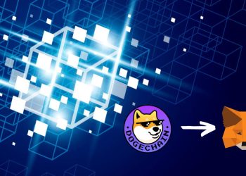 cach-them-mạng-dogechain-vao-vi-metamask