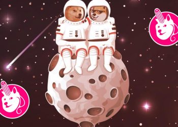 cach-mua-ban-token-tren-dogeswap