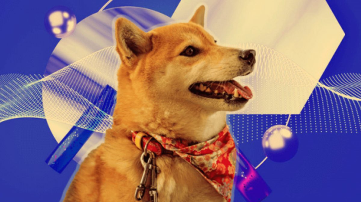 dogechain-la-gi