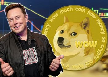 mua-dogecoin-o-dau