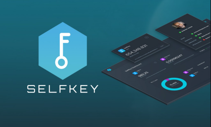 selfkey-key-la-gi