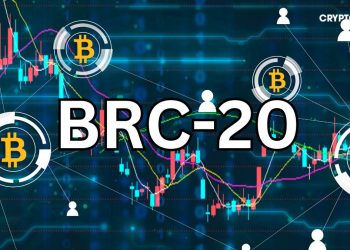 Top 5 đồng coin BRC-20 tiềm năng có thể đưa danh mục đầu tư của bạn tăng trưởng 10 lần
