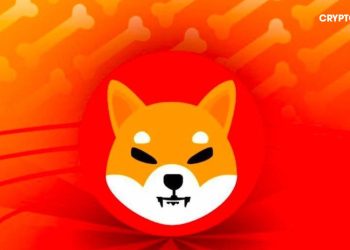 Đội ngũ Shiba Inu tiến hành đốt hàng loạt token SHIB lên đến 779,000%