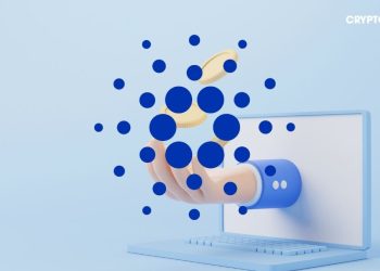 ADA Airdrop miễn phí token cho người Hold ADA