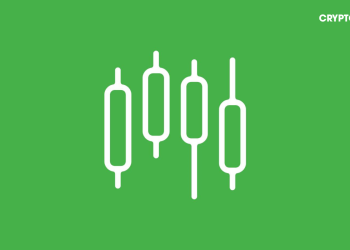 Lịch sử có lặp lại khi Bitcoin có 8 nến tuần xanh liên tiếp?